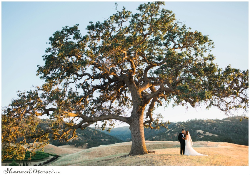 Juliana_Jon_WineCountry_Wedding_Capay_0081