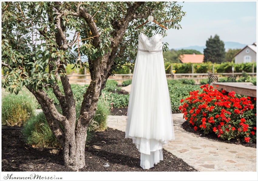 Mollie_Steve_Napa_Winery_Wedding_0003