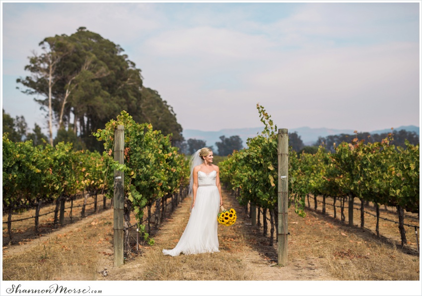 Mollie_Steve_Napa_Winery_Wedding_0017