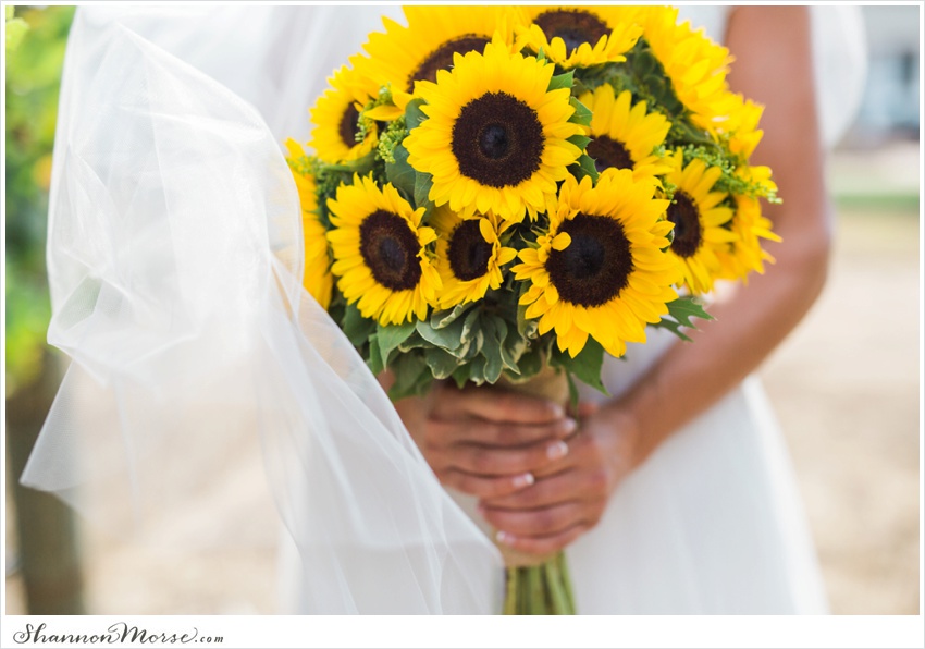 Mollie_Steve_Napa_Winery_Wedding_0020