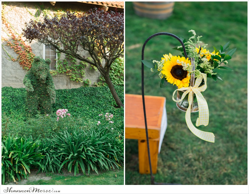 Mollie_Steve_Napa_Winery_Wedding_0042