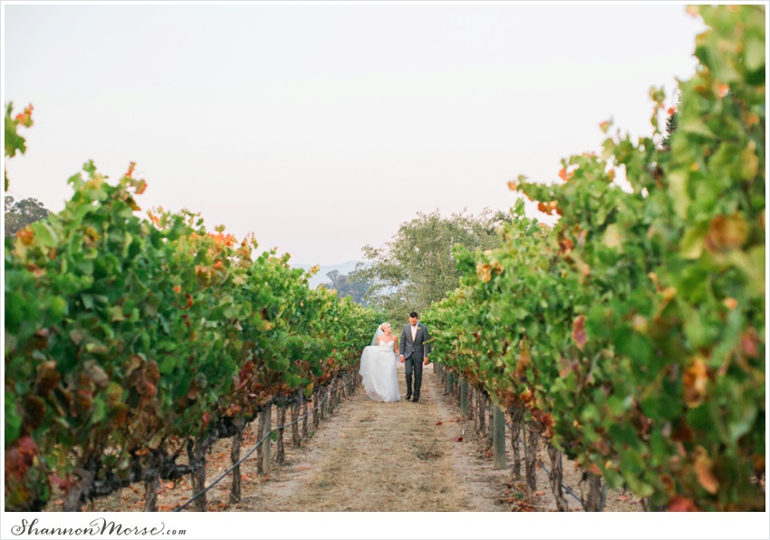 Mollie_Steve_Napa_Winery_Wedding_0079