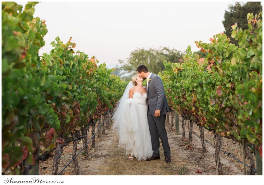 Mollie_Steve_Napa_Winery_Wedding_0084