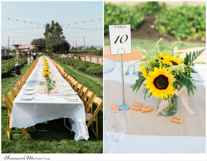 Mollie_Steve_Napa_Winery_Wedding_0086