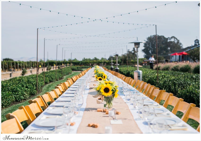 Mollie_Steve_Napa_Winery_Wedding_0088