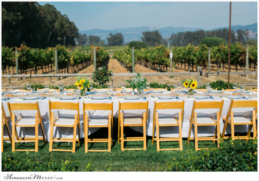 Mollie_Steve_Napa_Winery_Wedding_0089