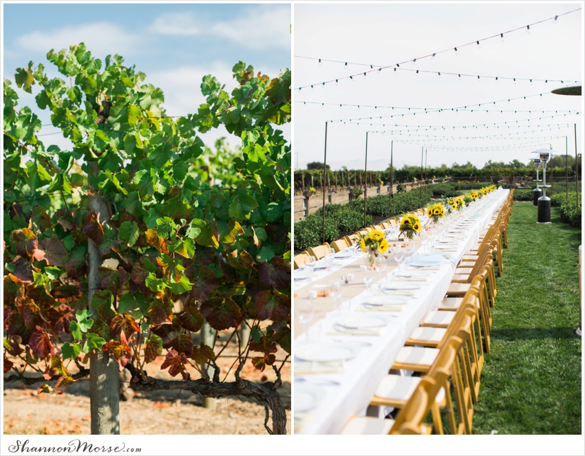 Mollie_Steve_Napa_Winery_Wedding_0090