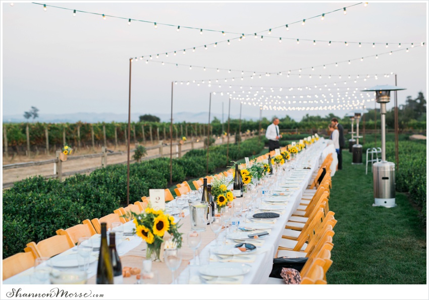 Mollie_Steve_Napa_Winery_Wedding_0094