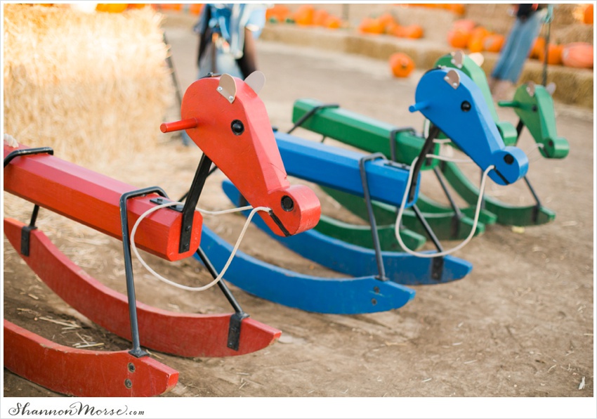 Pumpkin_Patch_Solano_County_Photographer_0002