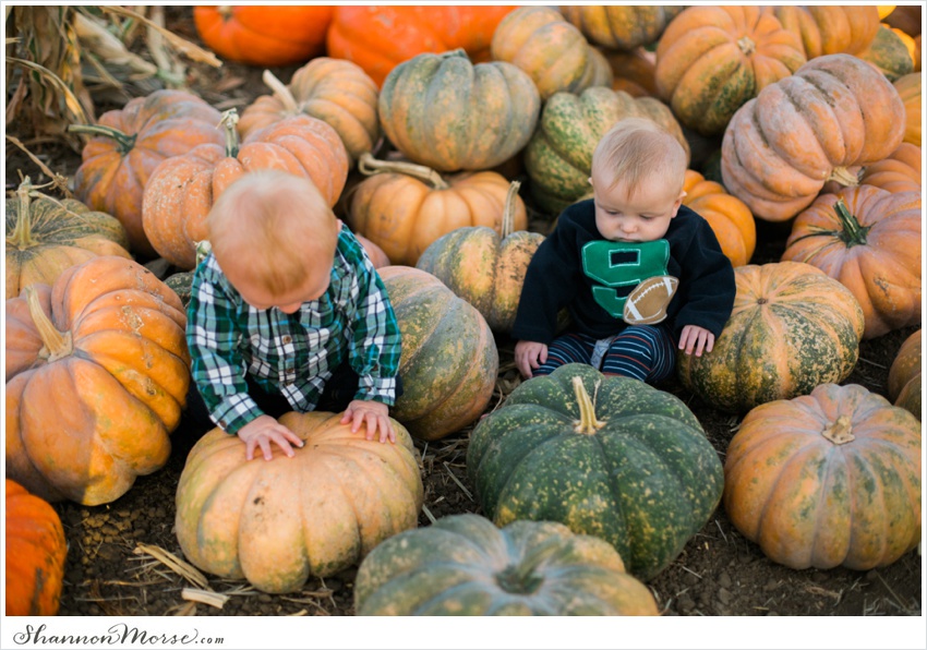 Pumpkin_Patch_Solano_County_Photographer_0006