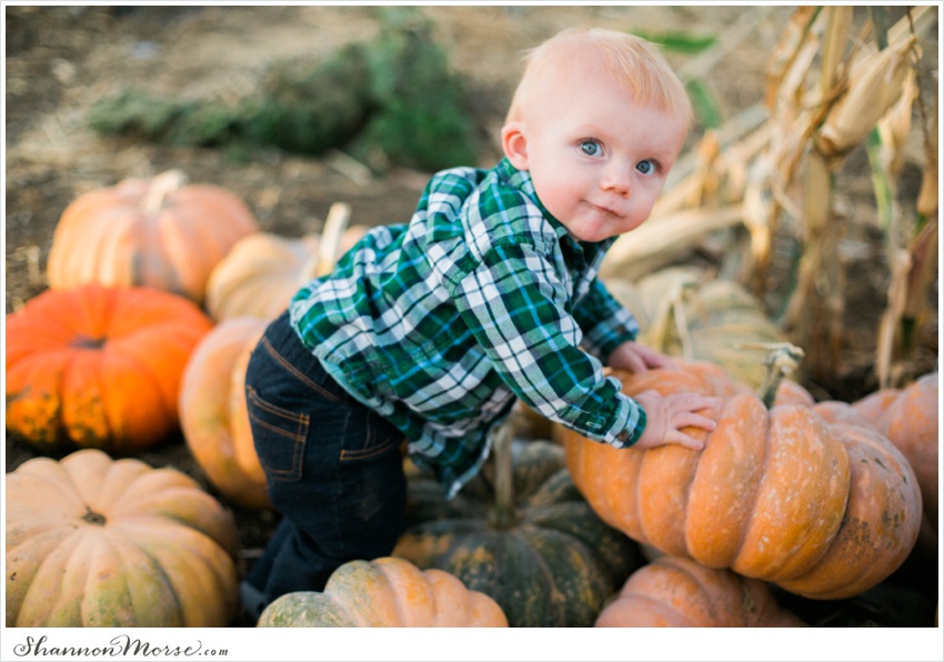 Pumpkin_Patch_Solano_County_Photographer_0008