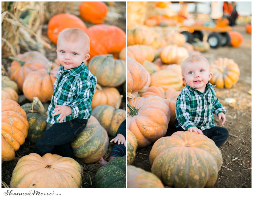 Pumpkin_Patch_Solano_County_Photographer_0011