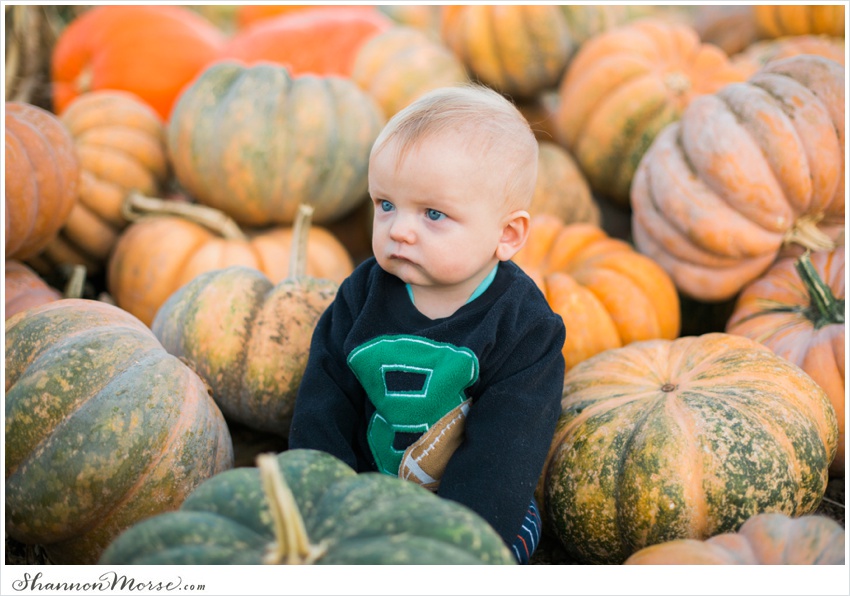 Pumpkin_Patch_Solano_County_Photographer_0012