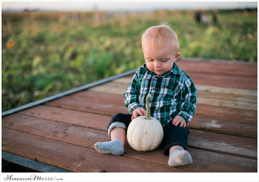 Pumpkin_Patch_Solano_County_Photographer_0018