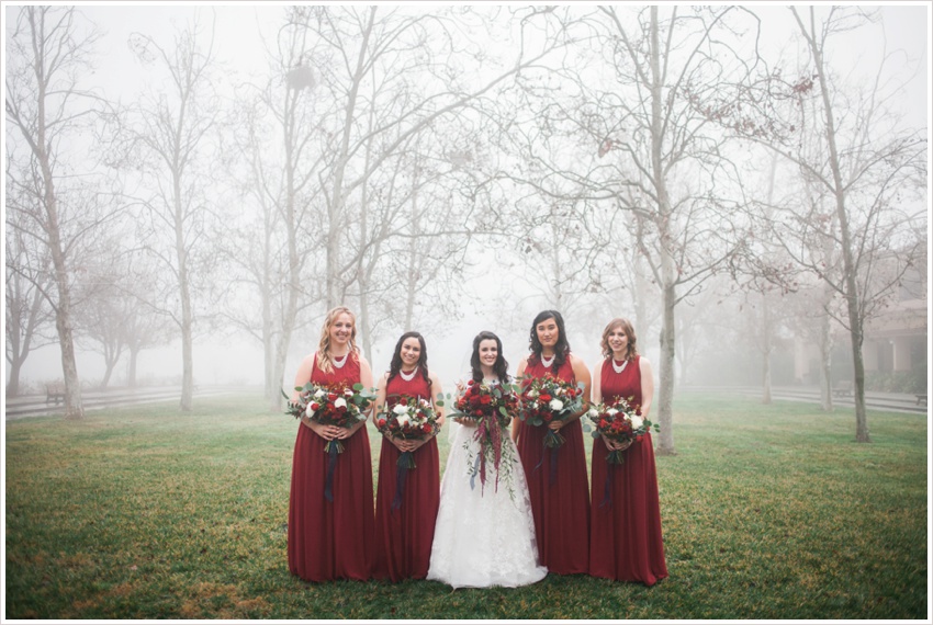 JoelSophia_Wedding_Foggy_Davis_0165