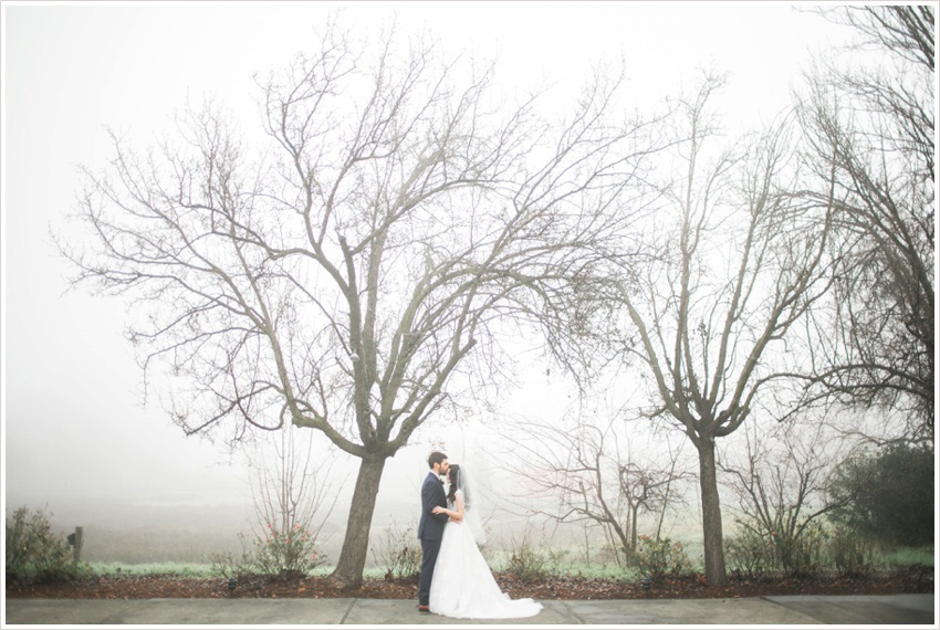 JoelSophia_Wedding_Foggy_Davis_0184