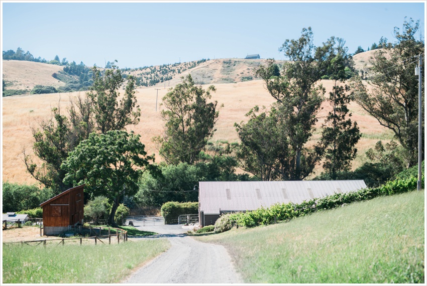 Matt Kaitlin Bloomfield petaluma sonoma wedding_0001