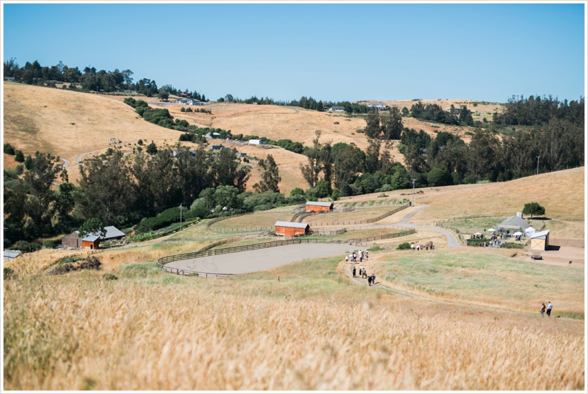 Matt Kaitlin Bloomfield petaluma sonoma wedding_0062