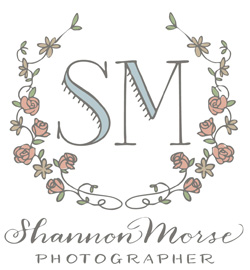 Shannon Morse Blog logo